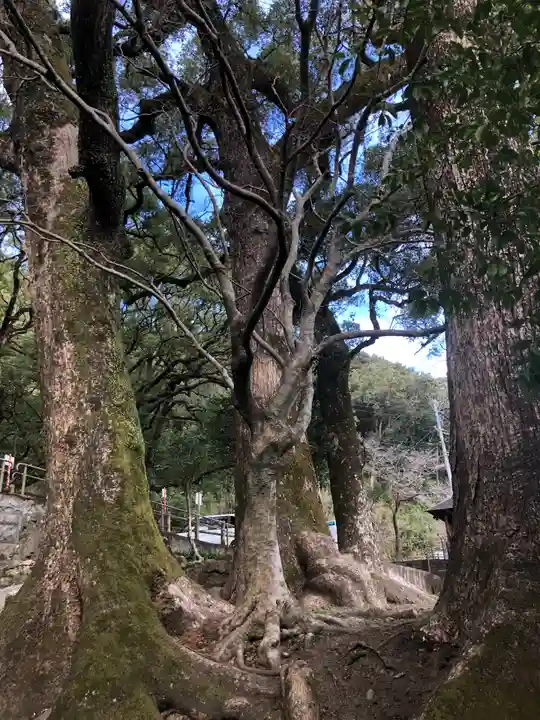 蛭児神社の自然