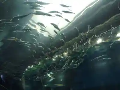 品川神社の周辺