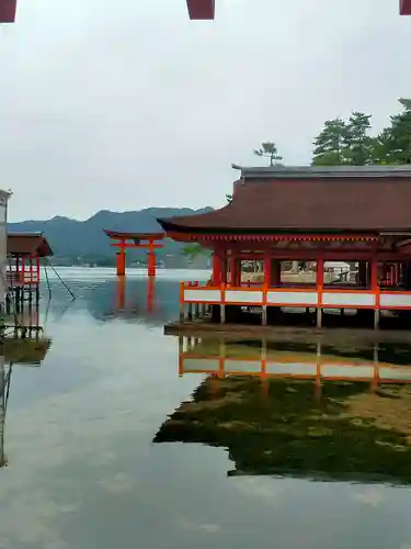 厳島神社(広島県)