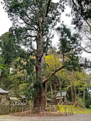 配志和神社(岩手県)