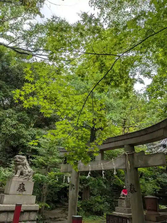 赤坂氷川神社(東京都)