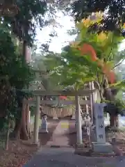 大桝神社の鳥居