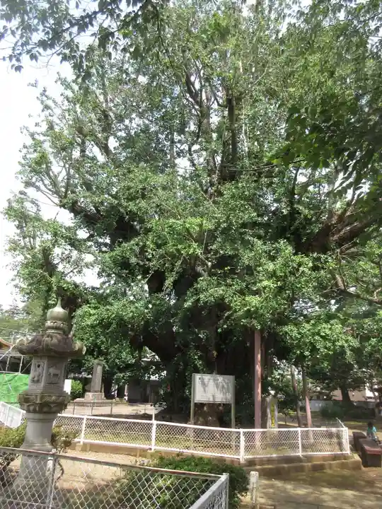 千葉寺のその他建物