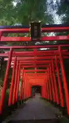 伊奈波神社の鳥居