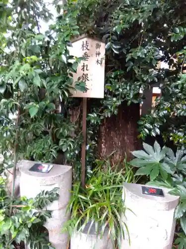 波除神社（波除稲荷神社）(東京都)