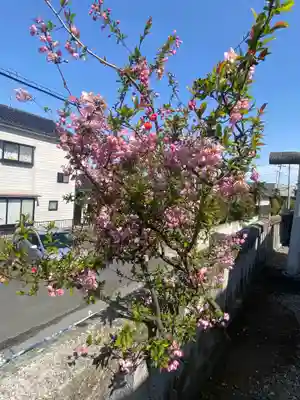 浅間神社の周辺
