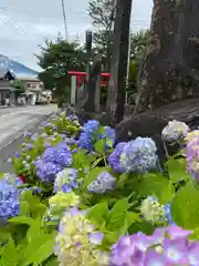 北東本宮小室浅間神社(山梨県)