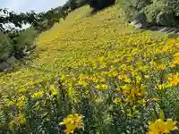 秋葉總本殿可睡斎の自然