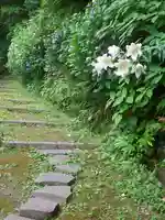 安國論寺(安国論寺)の自然