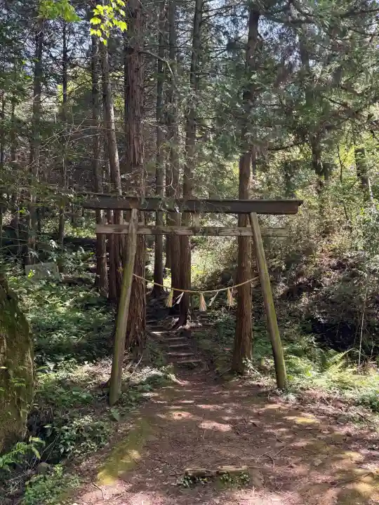 須我神社の{uncategorized: "未分類", other: "その他", undefined: "問題あり", building: "その他建物", grave: "お墓", sacred_gate: "鳥居", guardian: "狛犬", statue: "像", buddha: "仏像", history: "歴史", nature: "自然", garden: "庭園", animal: "動物", pagoda: "塔", temizu: "手水舎", mountain_gate: "山門・神門", sanctuary: "本殿・本堂", subordinate: "末社・摂社", art: "芸術", scenery: "景色", jizo: "地蔵", ema: "絵馬", goshuin: "御朱印", omikuji: "おみくじ", items: "授与品その他", amulet: "お守り", goshuincho: "御朱印帳", eats: "食事", festival: "お祭り", votive_dance: "神楽", shichigosan: "七五三参", wedding: "結婚式", experience: "体験その他", initially: "初詣", around: "周辺", anti_infection: "感染症対策"}
