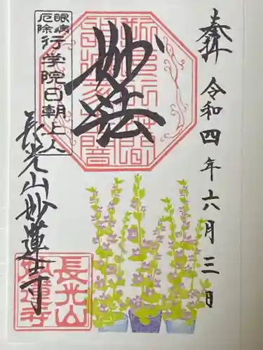 妙蓮寺の御朱印