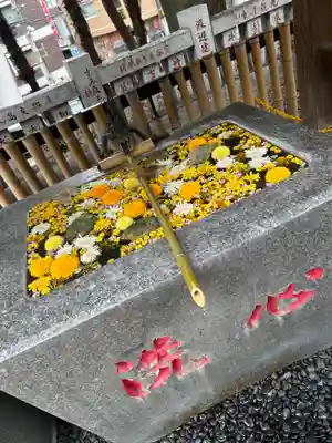 高円寺氷川神社(東京都)