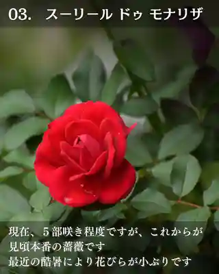 宝光寺(北海道)