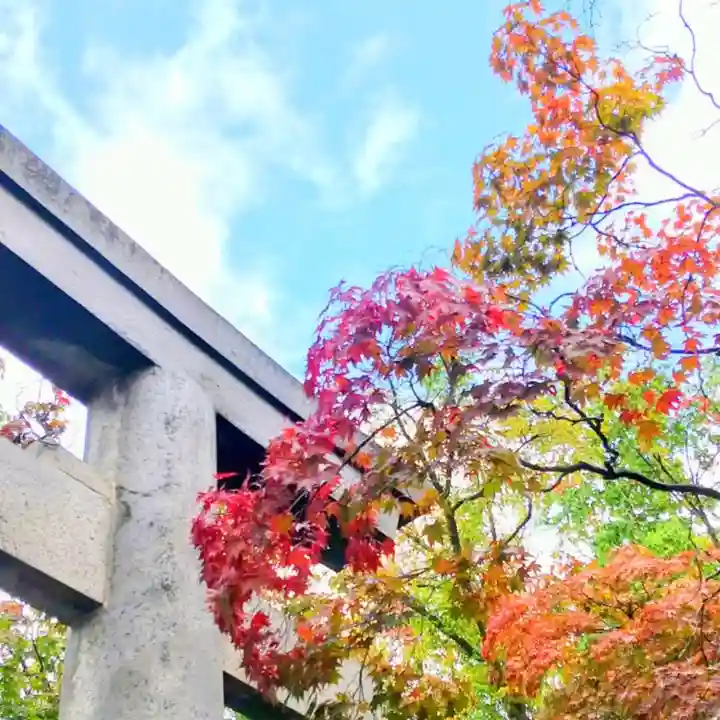 彌彦神社 (伊夜日子神社)の自然
