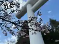 土津神社|こどもと出世の神さまの{uncategorized: "未分類", other: "その他", undefined: "問題あり", building: "その他建物", grave: "お墓", sacred_gate: "鳥居", guardian: "狛犬", statue: "像", buddha: "仏像", history: "歴史", nature: "自然", garden: "庭園", animal: "動物", pagoda: "塔", temizu: "手水舎", mountain_gate: "山門・神門", sanctuary: "本殿・本堂", subordinate: "末社・摂社", art: "芸術", scenery: "景色", jizo: "地蔵", ema: "絵馬", goshuin: "御朱印", omikuji: "おみくじ", items: "授与品その他", amulet: "お守り", goshuincho: "御朱印帳", eats: "食事", festival: "お祭り", votive_dance: "神楽", shichigosan: "七五三参", wedding: "結婚式", experience: "体験その他", initially: "初詣", around: "周辺", anti_infection: "感染症対策"}