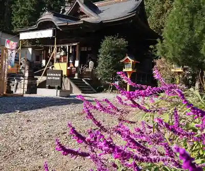 長良神社の本殿・本堂