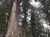 戸隠神社中社(長野県)