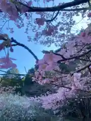 長楽寺(静岡県)