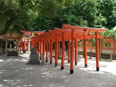 荒熊白髭稲荷神社の鳥居