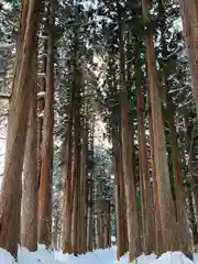 戸隠神社九頭龍社の周辺