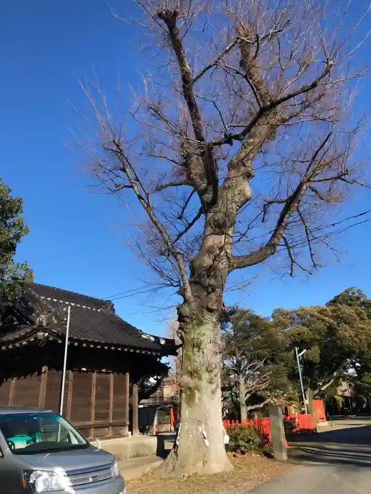 幸宮神社の自然