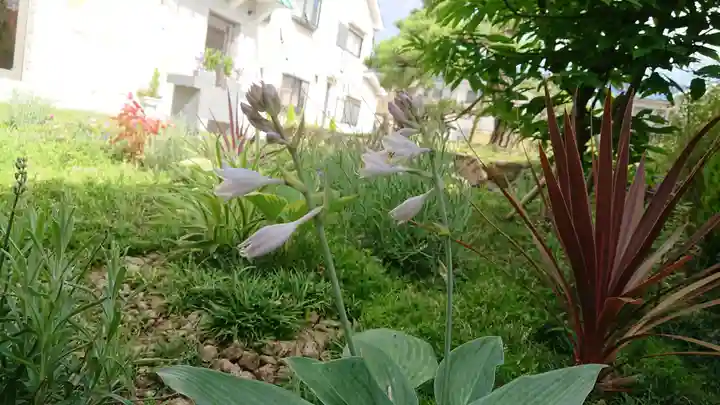 寿量山 速成寺の自然