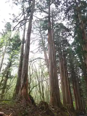 戸隠神社九頭龍社(長野県)