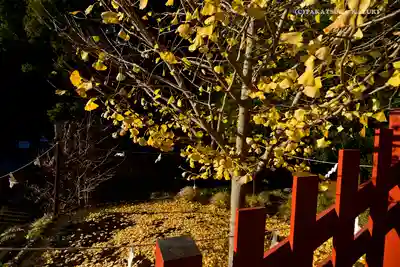 鶴岡八幡宮のその他建物