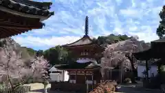 金剛寺(大阪府)