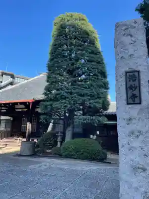 浩妙寺(東京都)