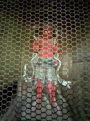 珍蔵寺　(山形県)