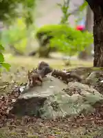 伊達神社(北海道)