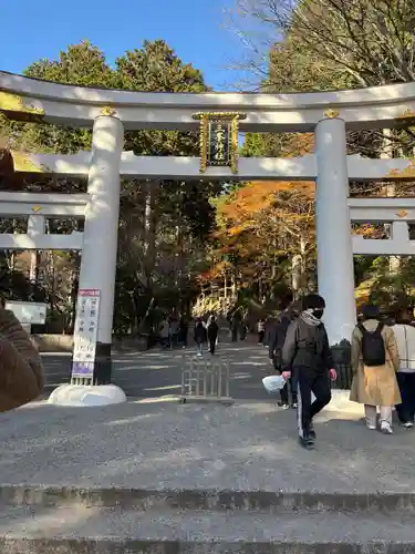 三峯神社(埼玉県)