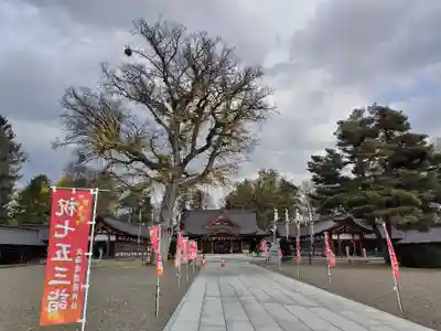 北海道護國神社の七五三参