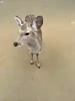 東大寺鐘楼(奈良県)