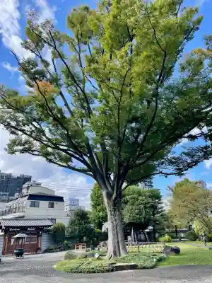 正光寺(東京都)