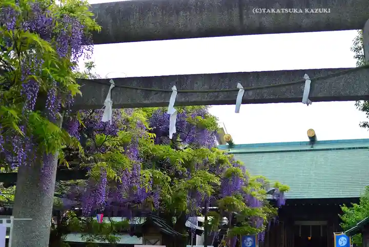 國領神社(東京都)