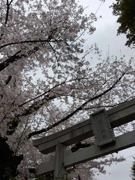 本郷氷川神社(東京都)
