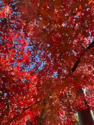 興福寺 五重塔(奈良県)