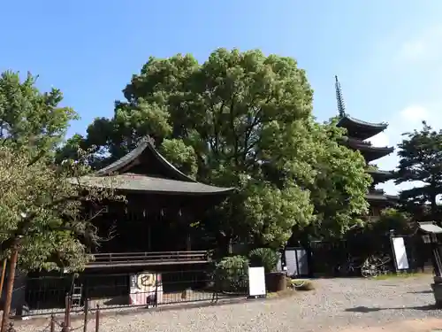 上野東照宮(東京都)