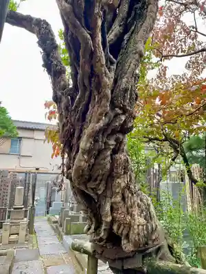 長安寺(東京都)