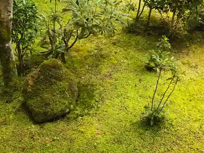 西明寺(京都府)