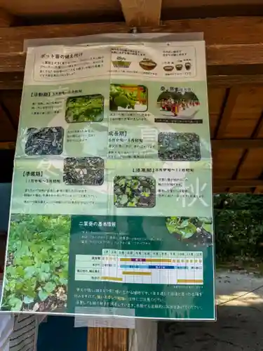 賀茂別雷神社（上賀茂神社）(京都府)