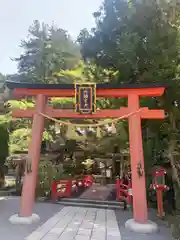 天河大辨財天社の鳥居