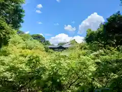 東福禅寺（東福寺）(京都府)