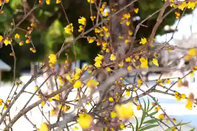 三津厳島神社(愛媛県)