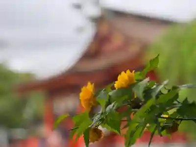 富士山本宮浅間大社(静岡県)