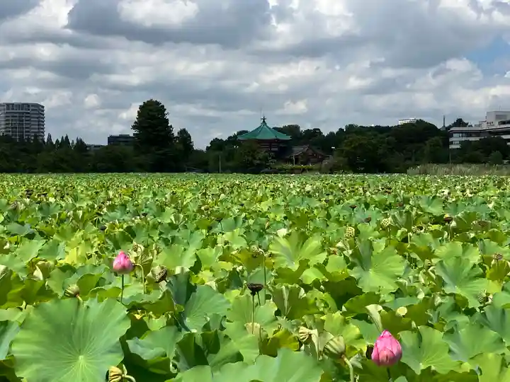 寛永寺(根本中堂)の周辺
