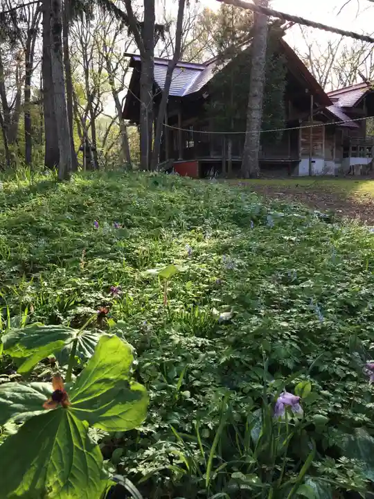 浦臼神社の自然