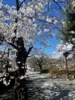三嶋大社の{uncategorized: "未分類", other: "その他", undefined: "問題あり", building: "その他建物", grave: "お墓", sacred_gate: "鳥居", guardian: "狛犬", statue: "像", buddha: "仏像", history: "歴史", nature: "自然", garden: "庭園", animal: "動物", pagoda: "塔", temizu: "手水舎", mountain_gate: "山門・神門", sanctuary: "本殿・本堂", subordinate: "末社・摂社", art: "芸術", scenery: "景色", jizo: "地蔵", ema: "絵馬", goshuin: "御朱印", omikuji: "おみくじ", items: "授与品その他", amulet: "お守り", goshuincho: "御朱印帳", eats: "食事", festival: "お祭り", votive_dance: "神楽", shichigosan: "七五三参", wedding: "結婚式", experience: "体験その他", initially: "初詣", around: "周辺", anti_infection: "感染症対策"}